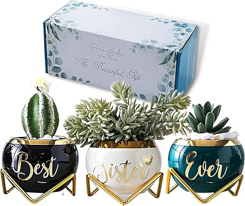 Regalos de cumpleaños para mamá de hija Regalos para mamá Regalos únicos para mamá el mejor regalo para madres mayores regalos para madres Regalos de cumpleaños para mamá de hija Regalos para mamá Regalos únicos para mamá el mejor regalo para madres mayores regalos para madres