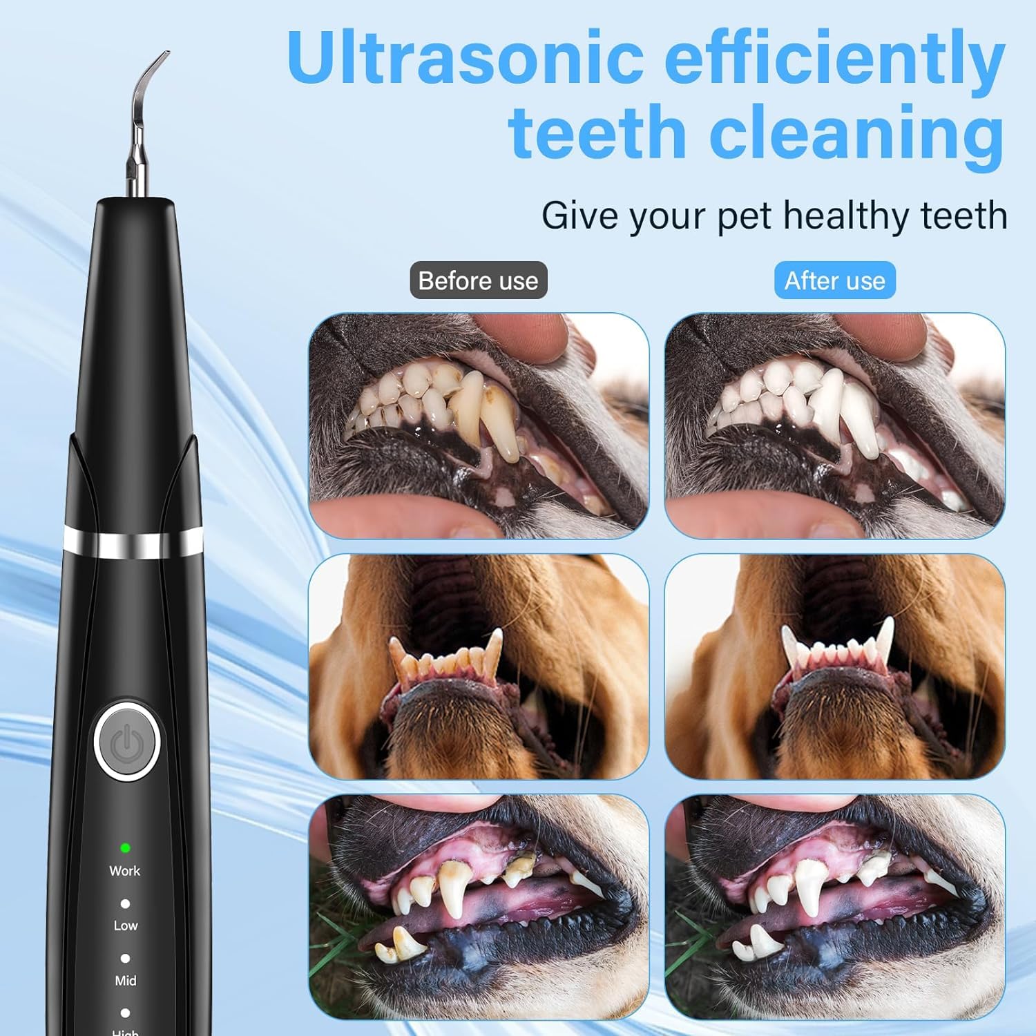 Kit de Nettoyage des Dents de Chien, Tartre Dentaire Nettoyage, Soins Dentaires pour Animaux de Compagnie, Brosses à Dents pour Chiens et Chats