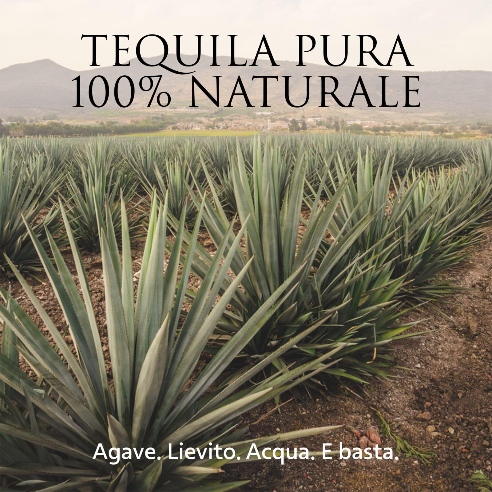 PATRÓN Silver Premium Tequila, Vol. 40%, 70 cl / 700 ml, creata in Messico con metodi artigianali in piccoli lotti a partire dal 100% della migliore agave Weber Blue