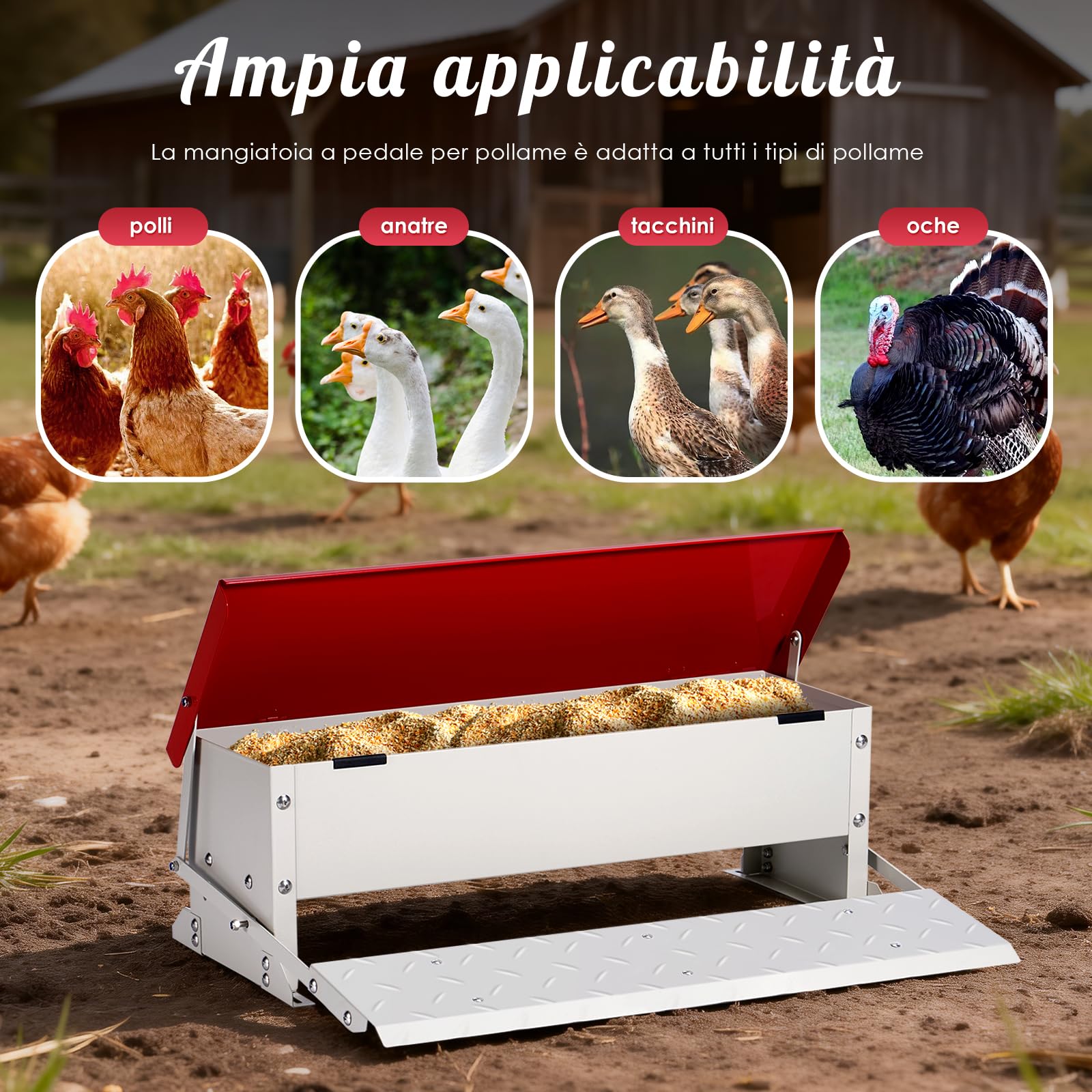 Mangiatoia per polli (volume 5 kg), acciaio zincato, meccanismo a pedana con pedana, coperchio impermeabile, mangiatoia a prova di ratti per pollame come polli, anatre, oche