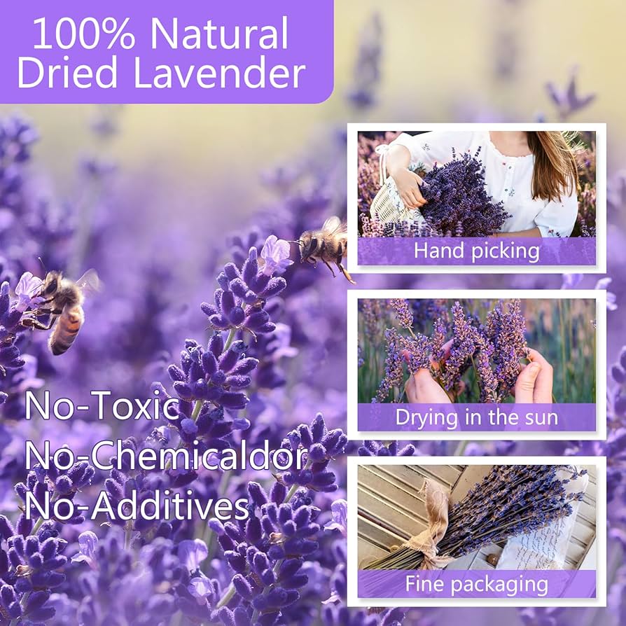 ミシャ　　ラベンダードライフラワー　1300本 Amazon.co.jp: Uieke ドライラベンダー束 天然乾燥ラベンダー