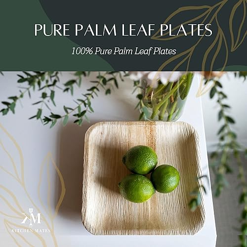 Miniatura 2 de Paquete de 100 platos cuadrados de hoja de palma de 6 pulgadas, platos desechables ecológicos, biodegradables y reutilizables para bodas, barbacoas