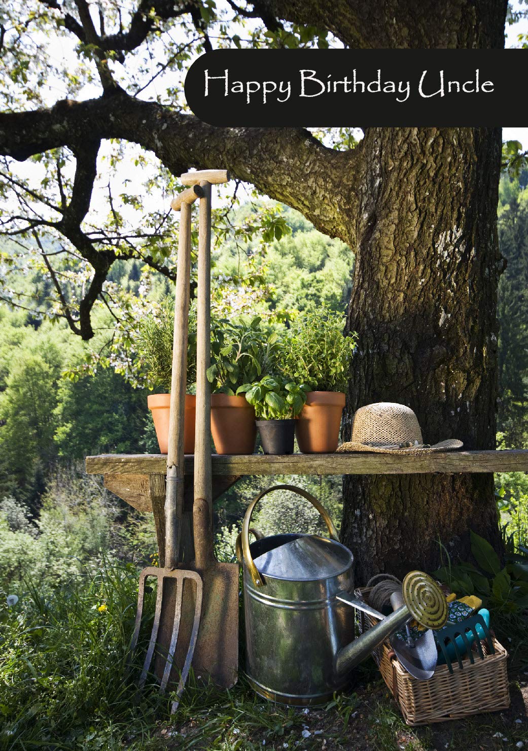 Doodlecards Brother-in-Law 60th Birthday Card Age 60