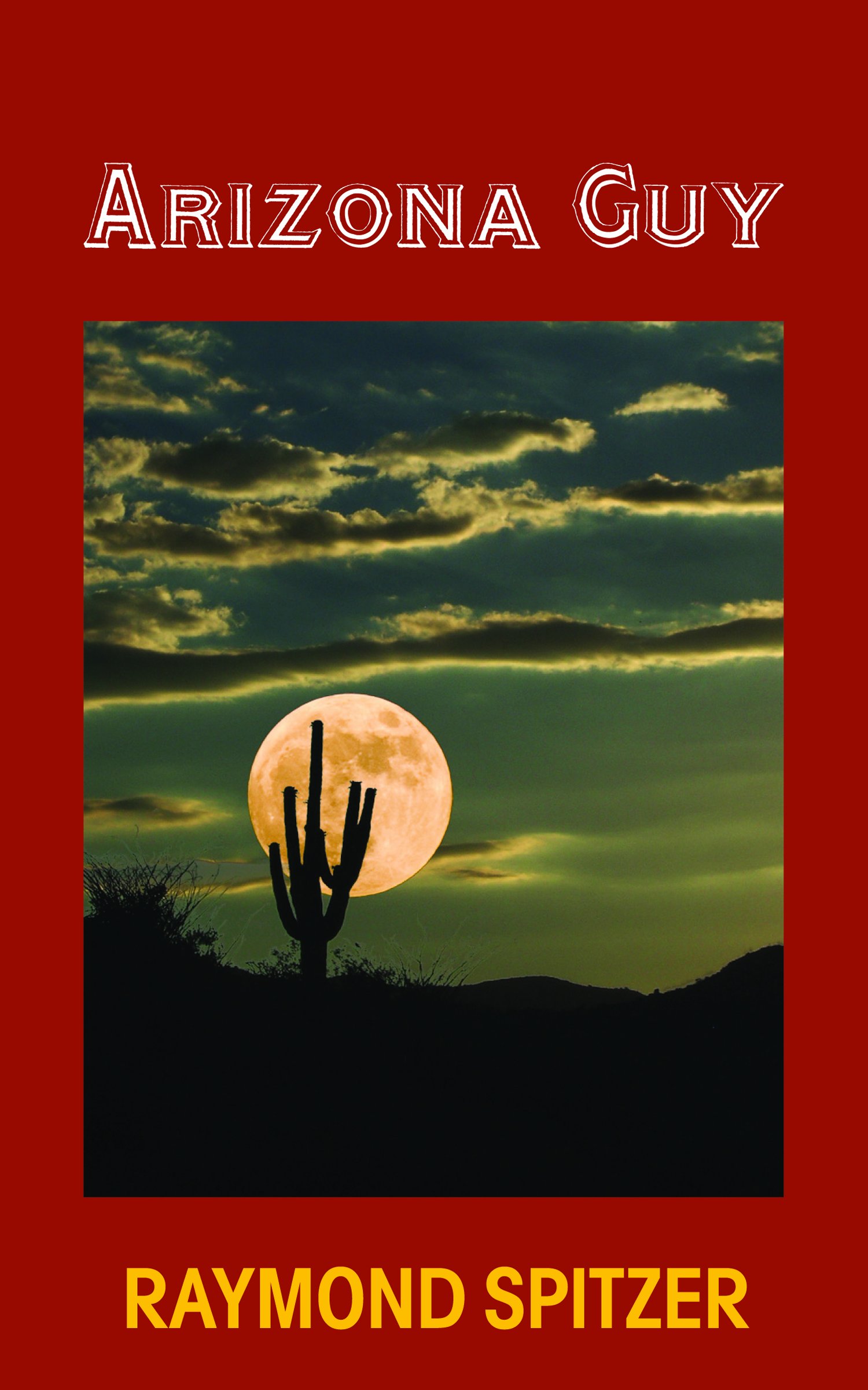 Buy Arizona Guy — BookShops.in