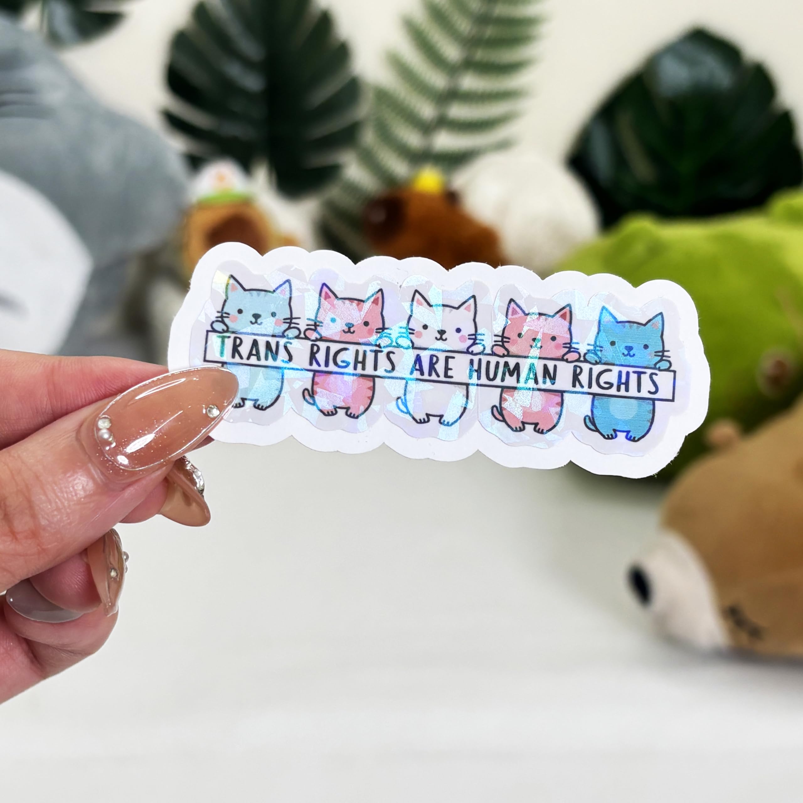 Autocollants Trans Rights mignons pour personnaliser votre gourde de sport