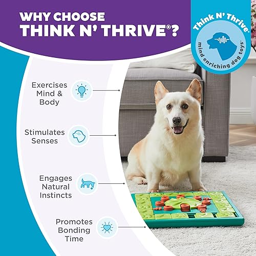 Vista 38 de Nina Ottosson by Outward Hound Dog Twister - Juguete interactivo de rompecabezas de premios para perros, nivel avanzado Dog Twister