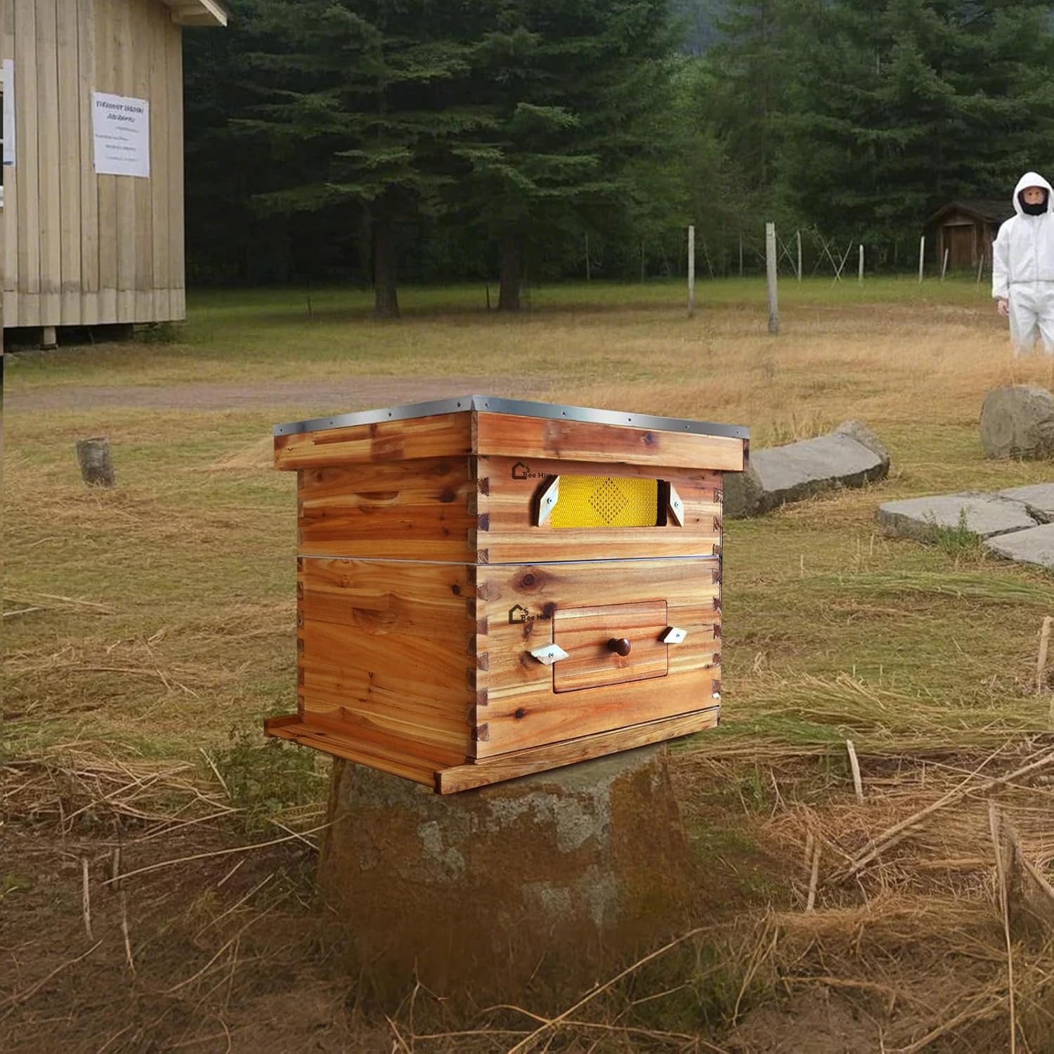 10-Frame Complete Bee Hives and Supplies Starter Kit Dipped in 100% Beeswax, Includes 1 Deep Hive Bee Box and 1 Bee Hive Super with Acrylic Window, Beehive Frames and Foundation for Beekeepers