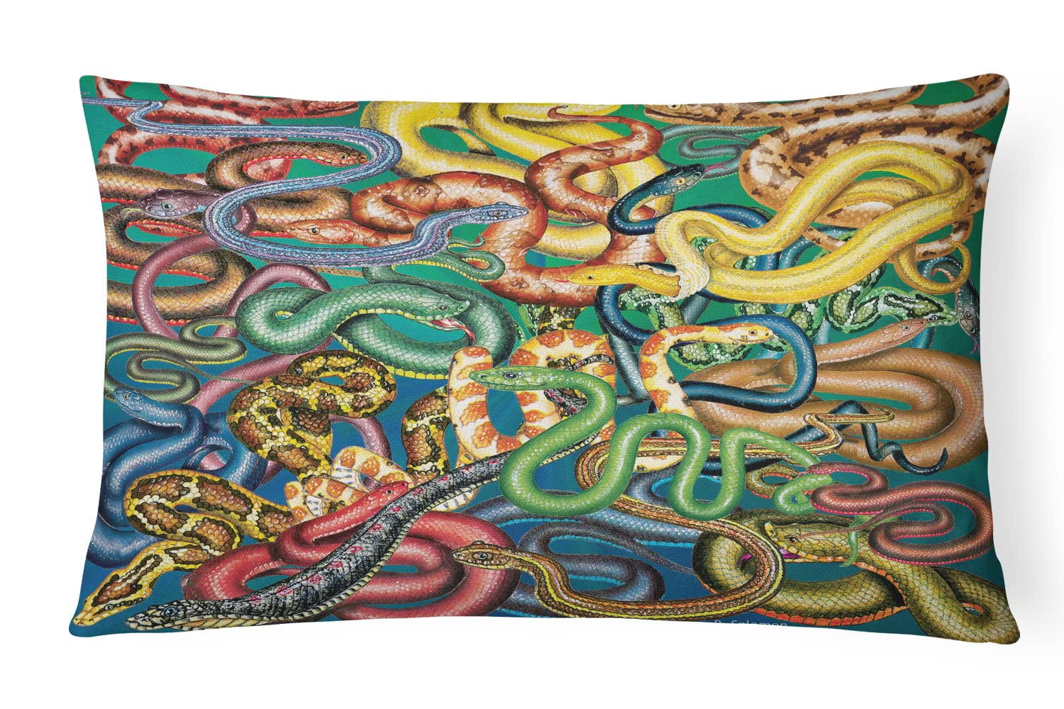 Oreiller de terrasse en tissu de toile imprimé serpents 30x40