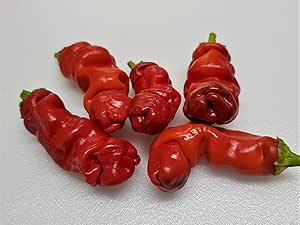Peter Pepper Red Hot Pepper 10+ Seeds