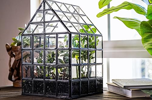 Miniatura 1 de Urban Born Terrario de cristal grande hecho a mano para invernadero 10.25 x 9.75 x 6.5 pulgadas (bronce)