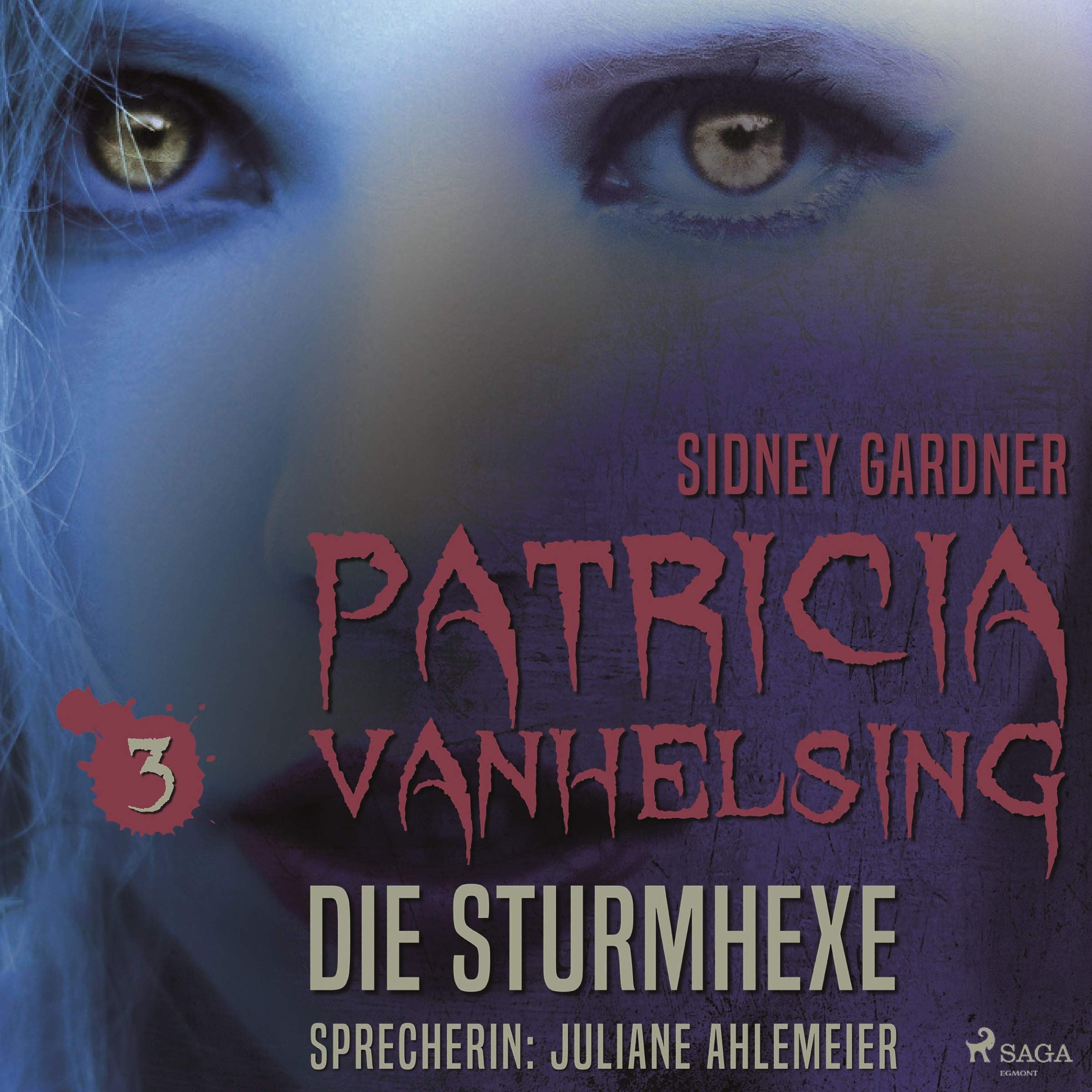 Cover art for Die Sturmhexe