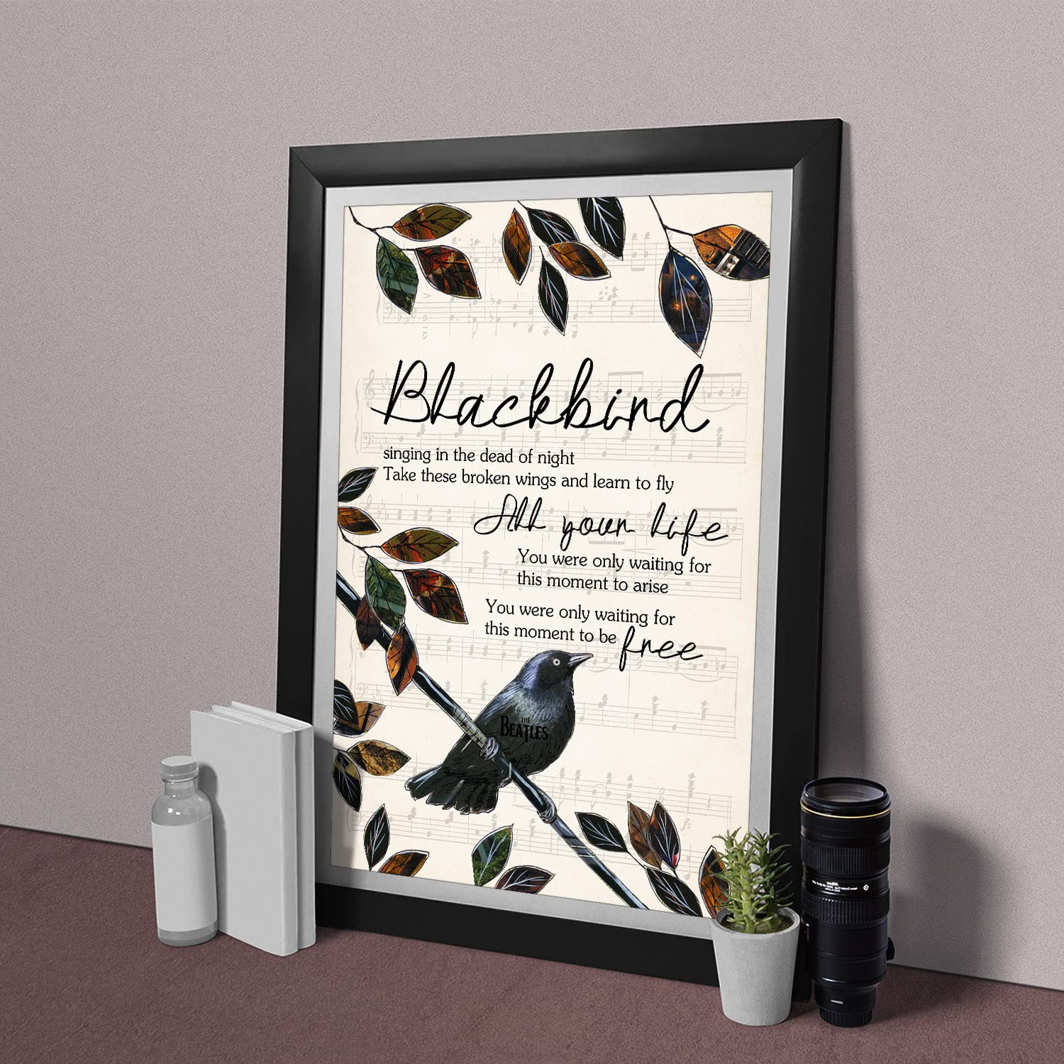 Amazon.com: Tacoki Blackbird Singing In The Dead Of Night Song