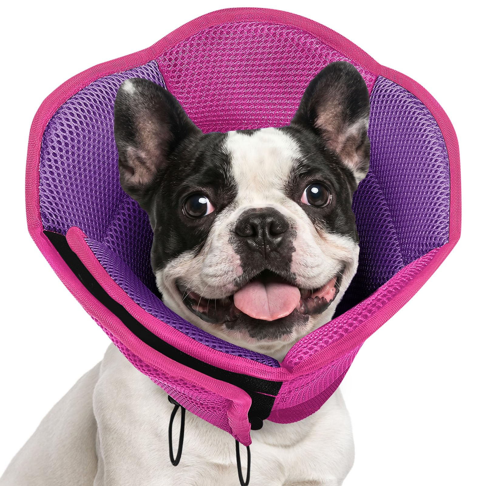 AOFITEE Dog Cone Adjustable Soft Cone for Dog to Stop Lickin MagentaPurpleS