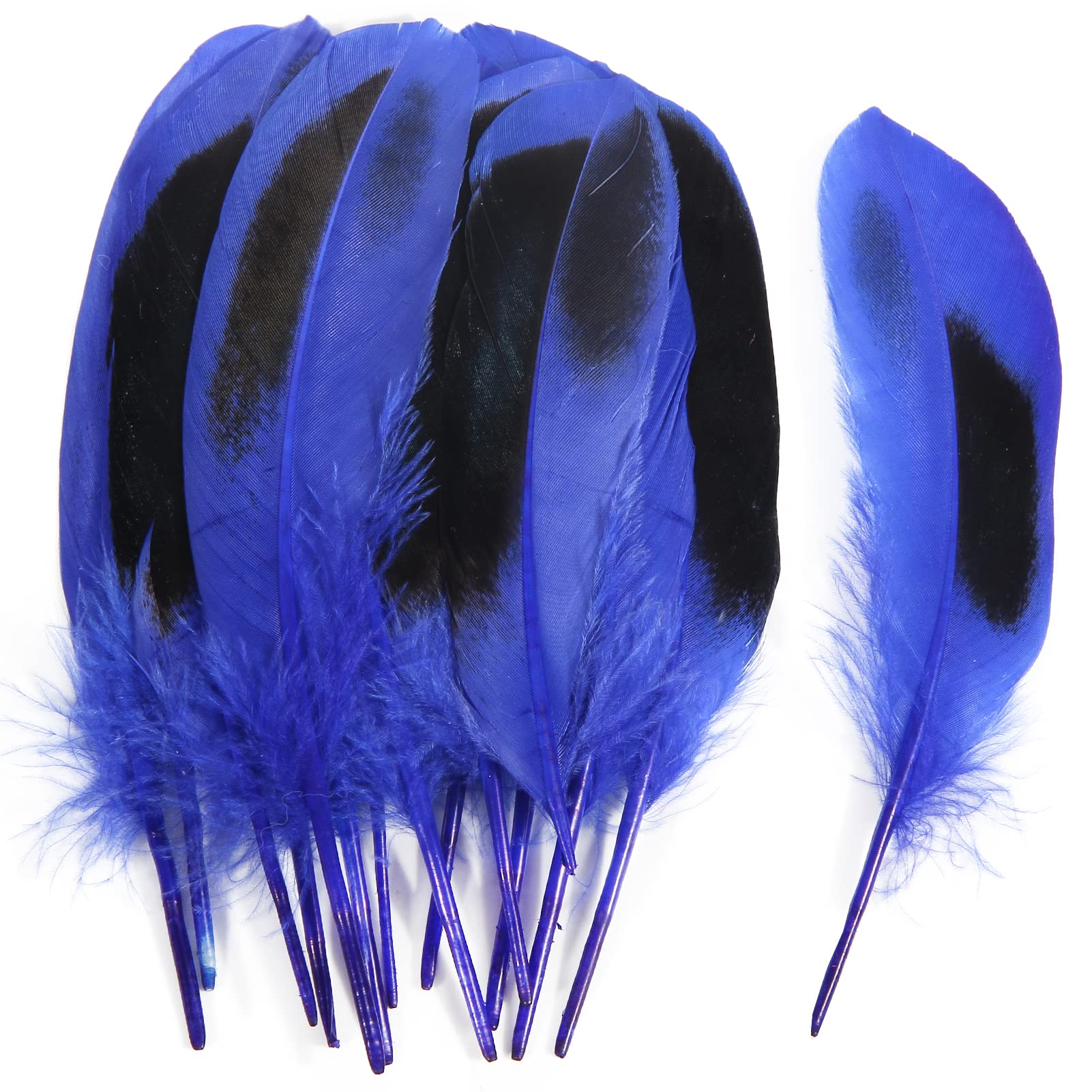 THARAHT 120pcs Blue Mallard Duck Feathers 4-6 inch 10-15cm Bulk for Crafts Carnival Handwork Clothing Costumes Hair Hats Crafts Home Wedding Party Decoration Duck Feathers