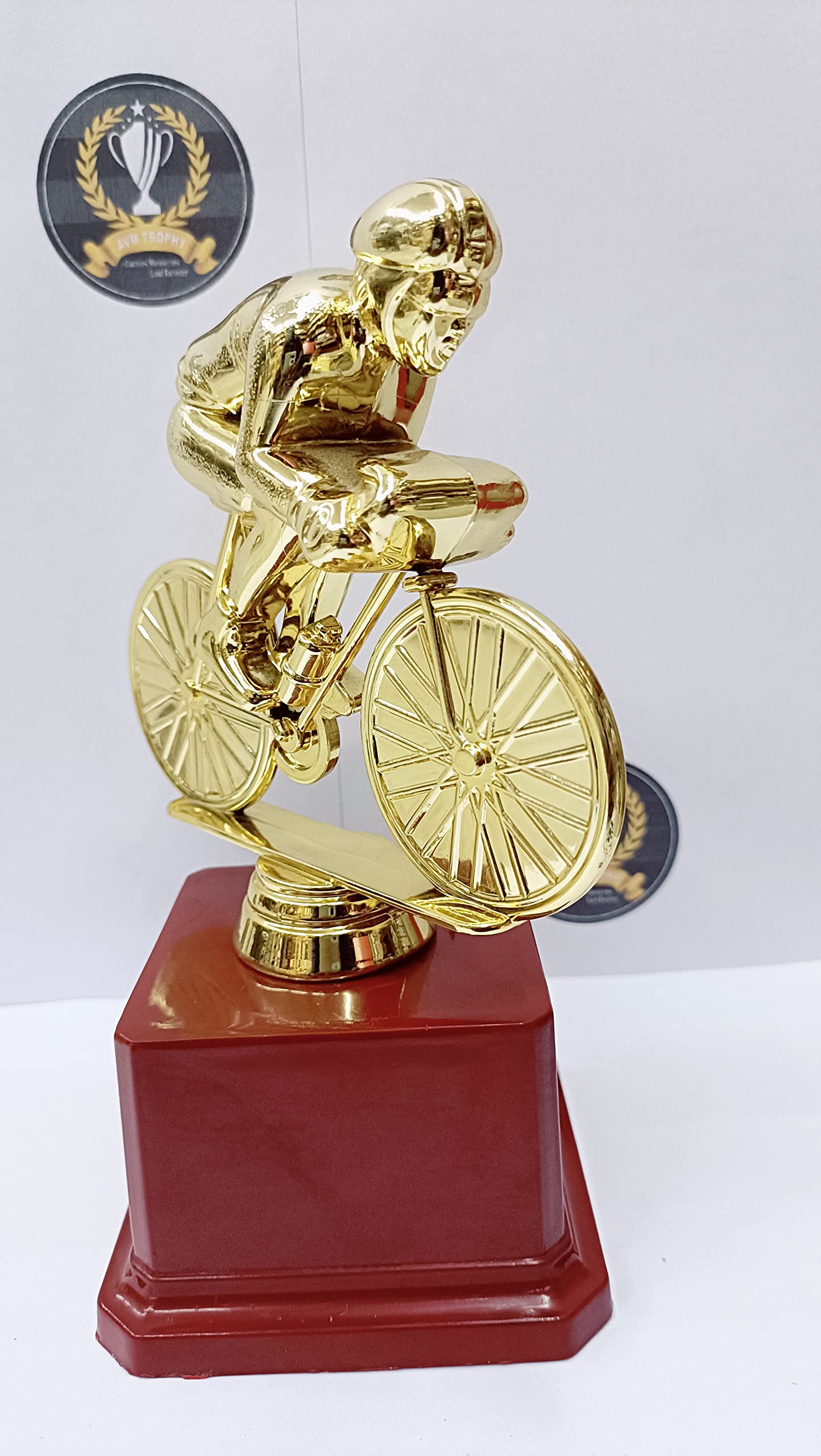 Trophy Golden Fiber Best Cycling Award