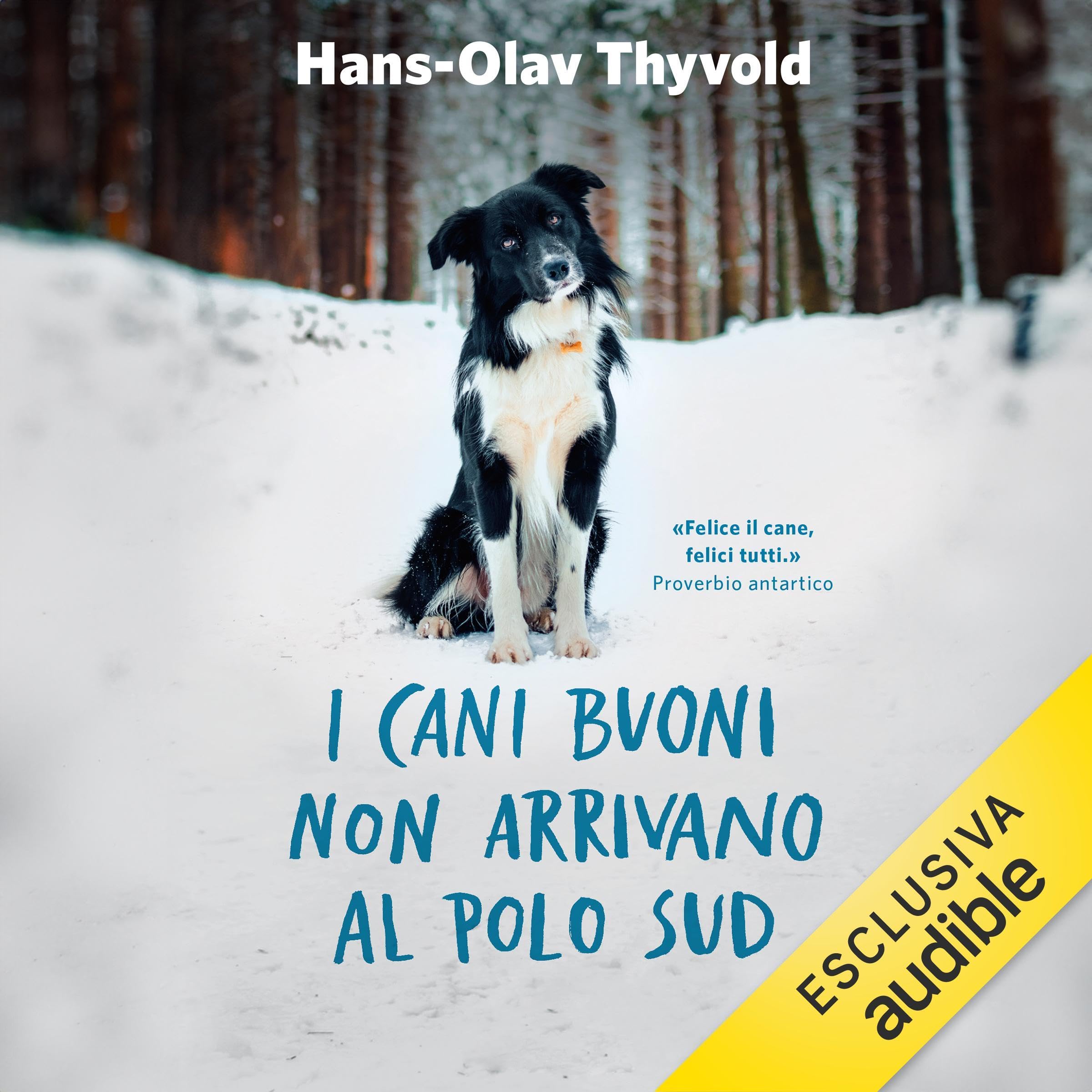 I cani buoni non arrivano al Polo Sud
