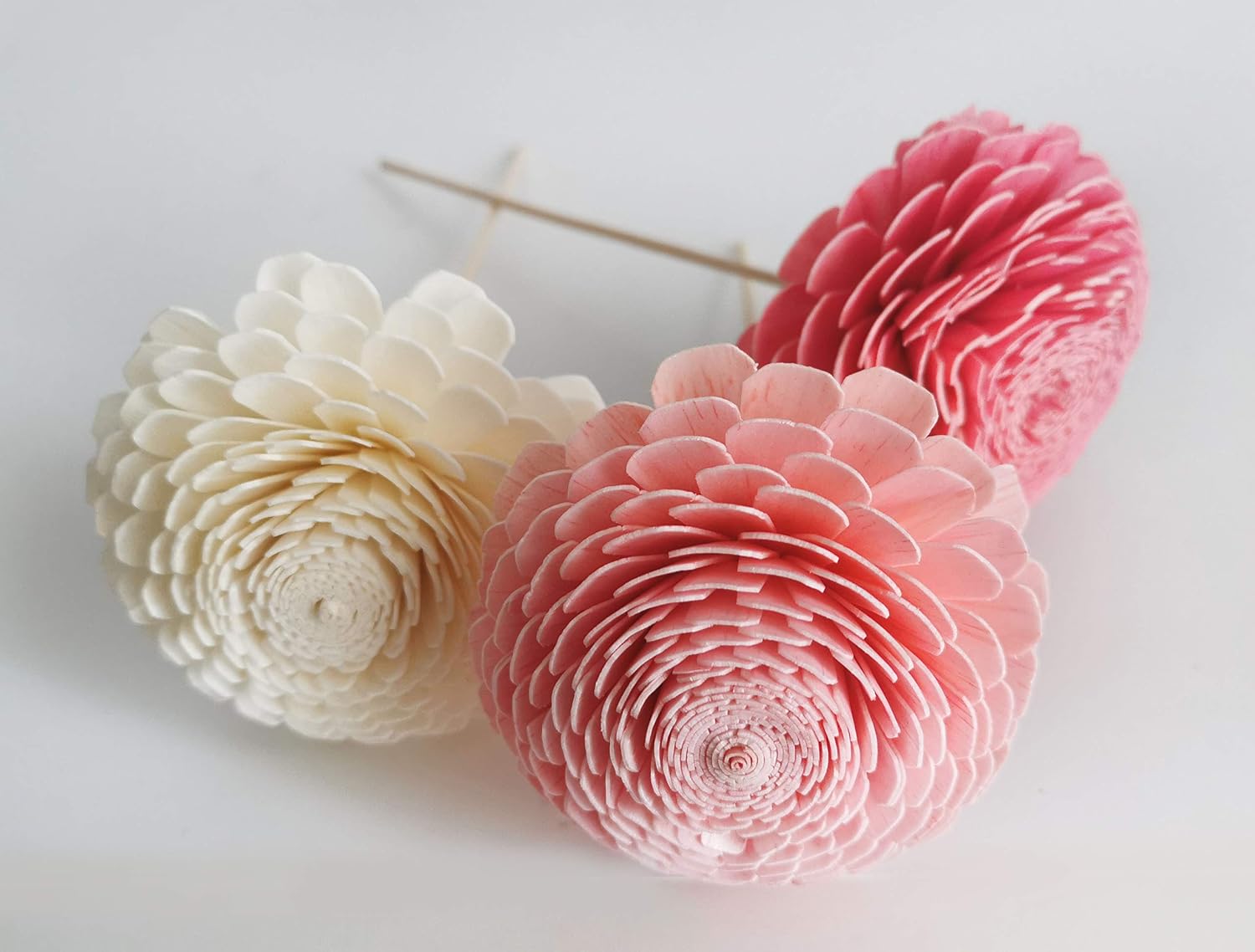 6 Triple Warm Tone Color 3 Inch Jasmine Sola Flower with Reed Diffuser for Home Fragrance Aroma Oil by Plawanature