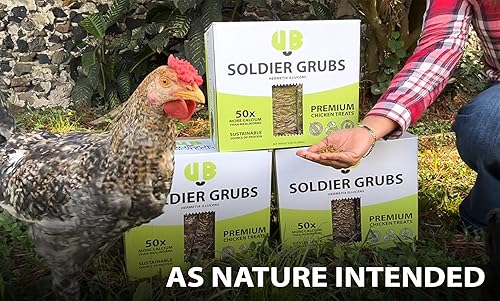 Miniatura 3 de UB Soldier Grubs  Larvas secas de mosca soldado negro  5 libras