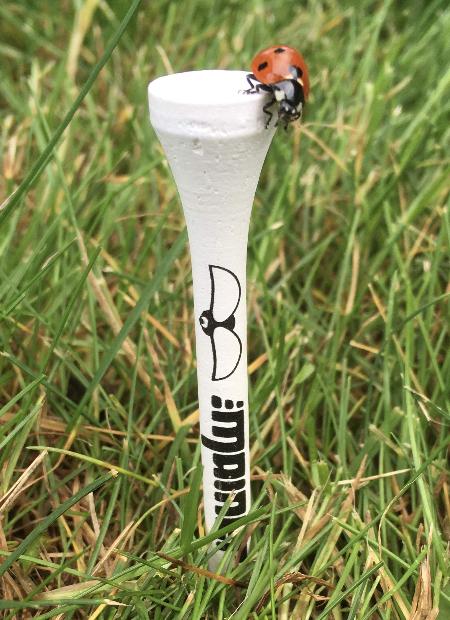 Tees de golf (70 mm, 100 unidades, bambú)