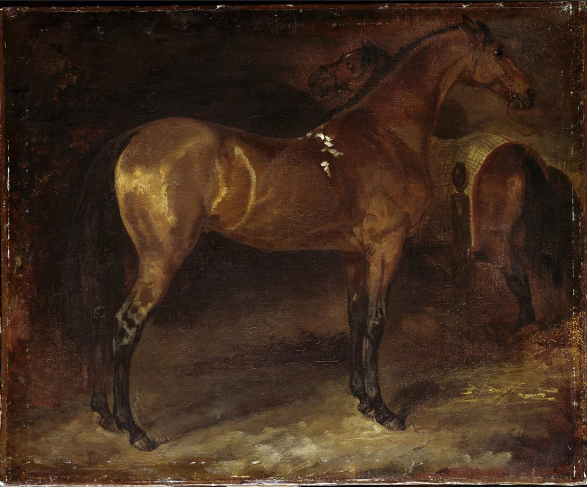 SERENDIPITP Abstract Painting Mural Print Picture Wall Decor Painting Spanish Horse Oil on Canvas by Theodore Gericault Vintage Wall Artwork for Home Decor 60x90cm