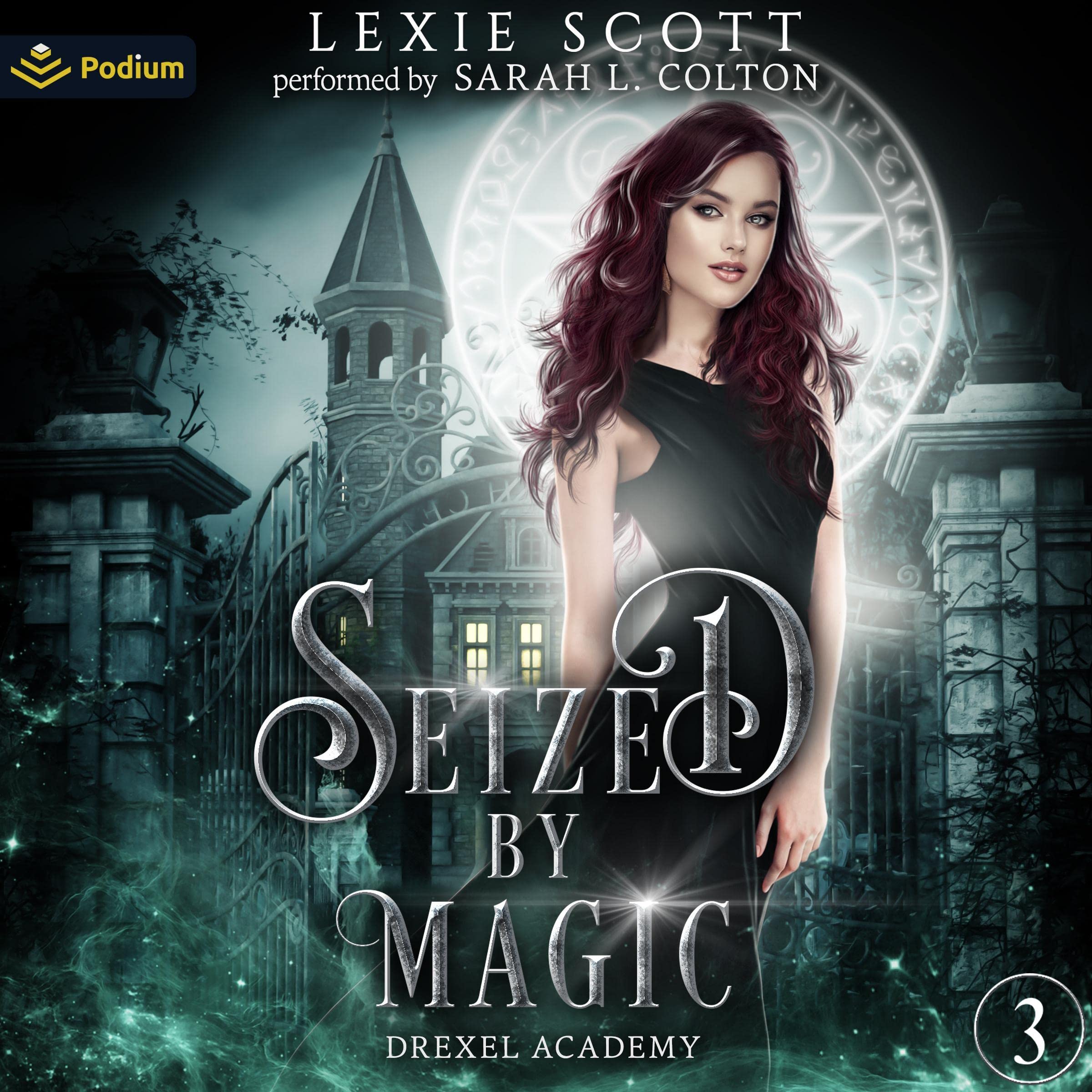 Cover art for Seized by Magic