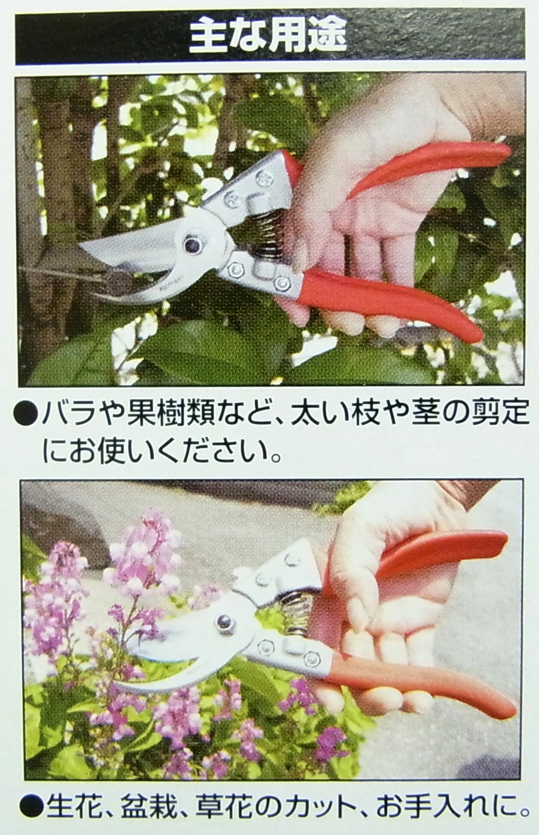 剪定鋏 ステンレス剪定鋏 PA878 | イオンスタイルオンライン 衣料