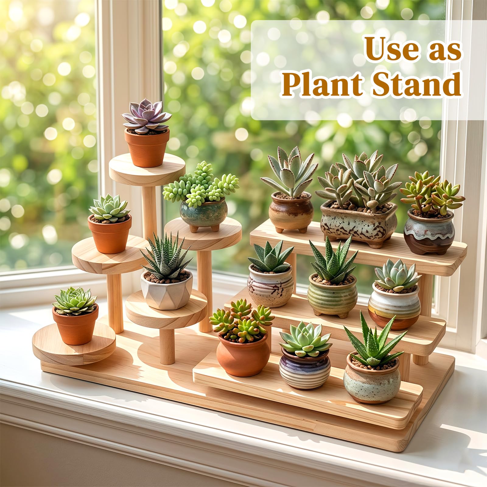 View 5