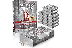 Spider Traps for Indoor Pest Control (16 Traps) - Pesticide-Free Indoor Traps