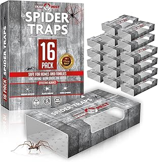 Spider Traps for Inside Your Home (16 Traps)