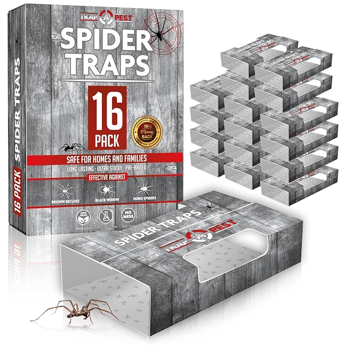 室内蜘蛛捕捉器 - 超强粘性捕虫粘板