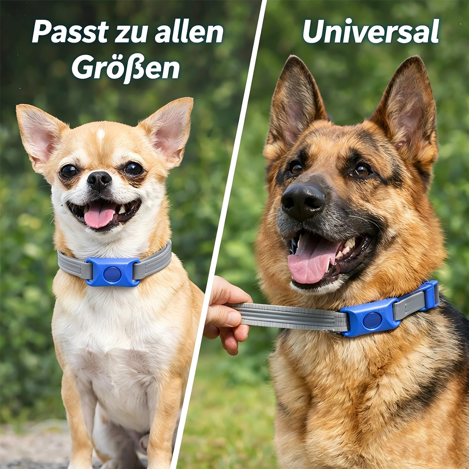 Flohfrei AnhäNger FüR Hunde,12 Monate Floh-Und Zeckenfrei,2 Austauschbarer Kapseln, Verstellbar, Kein Direkter Hautkontakt,Hunde NatüRliche Hundfreundlich (Grün,1pcs)
