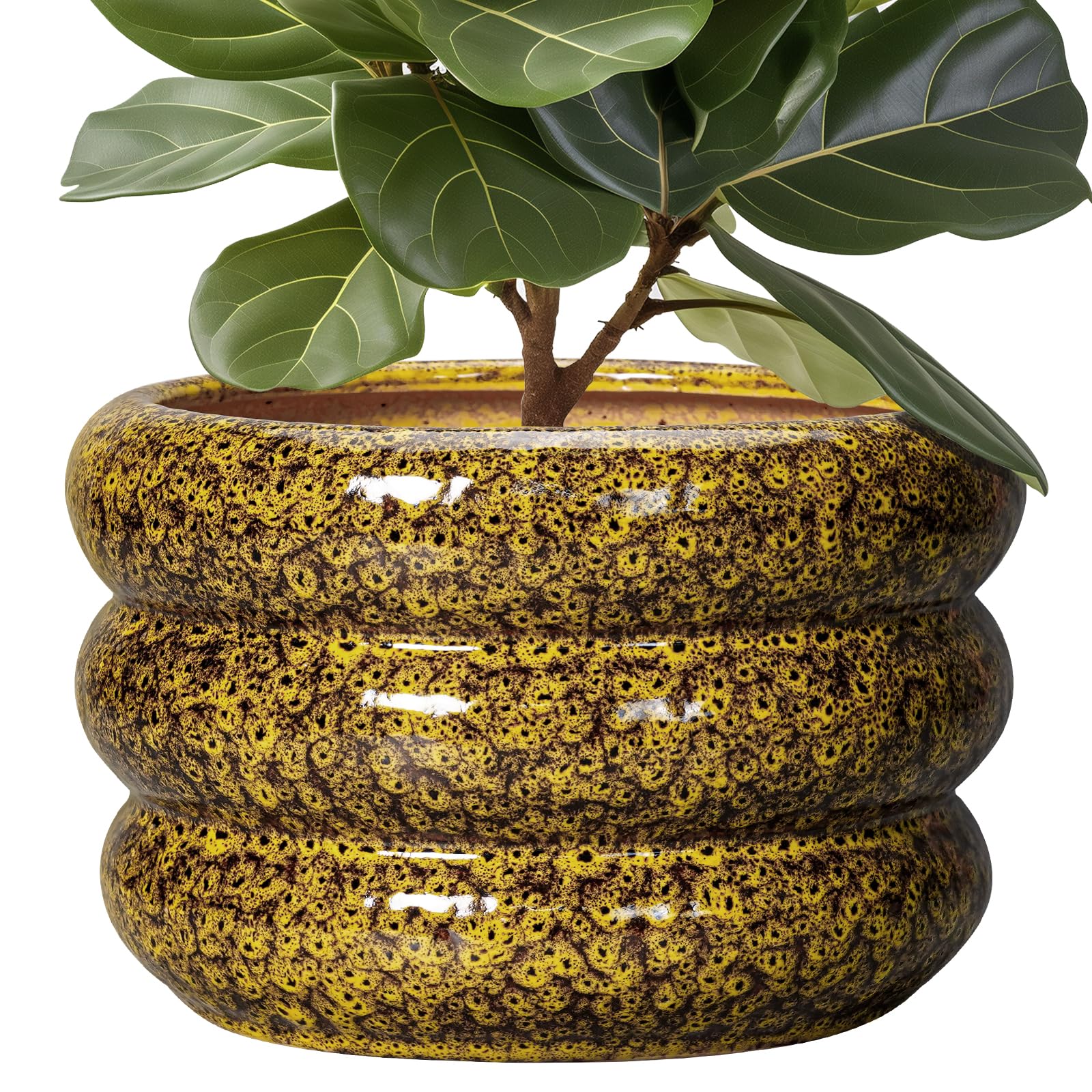 SQOWL 13.5 Bubble Ceramic Planter