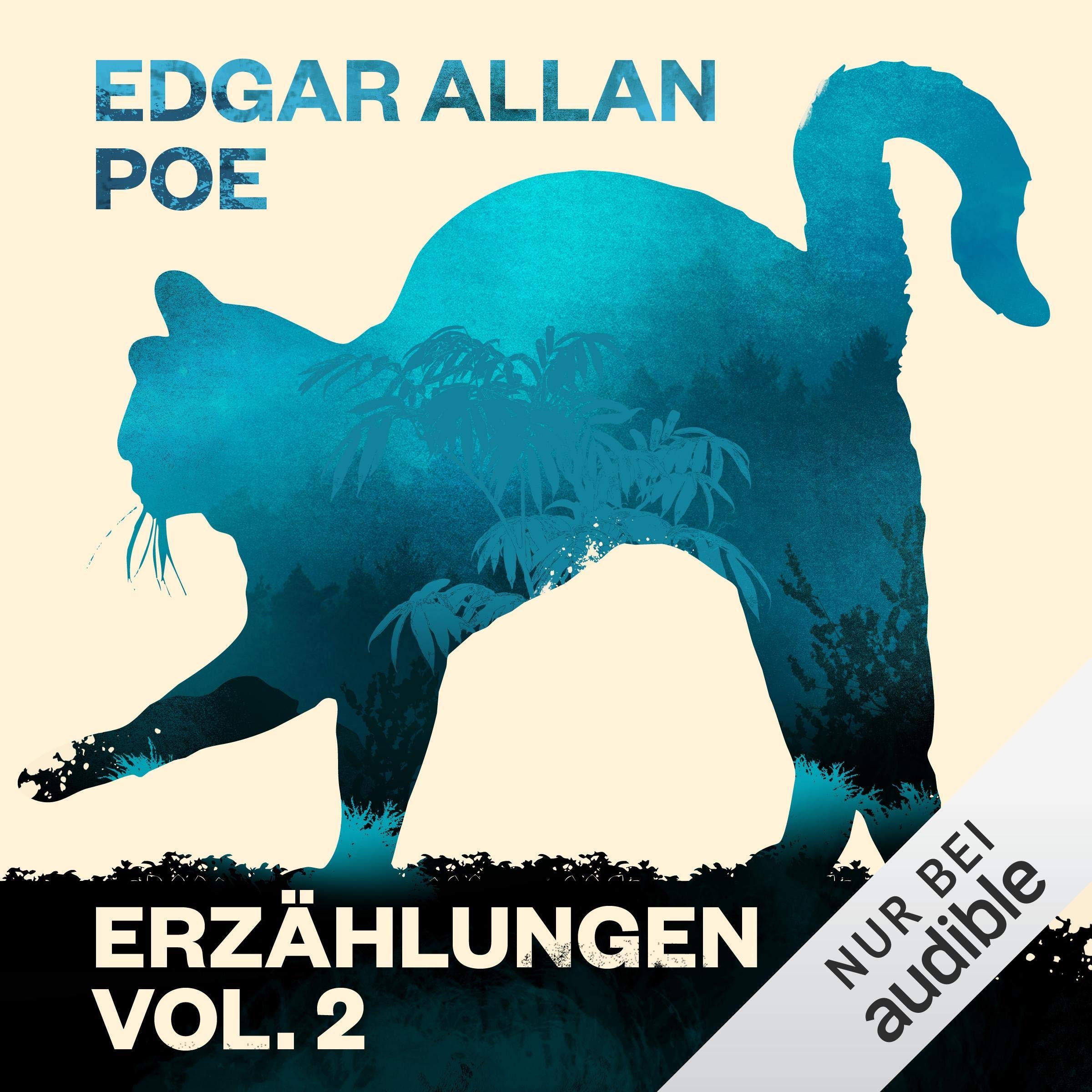 Cover art for Edgar Allan Poe: Erzählungen 2