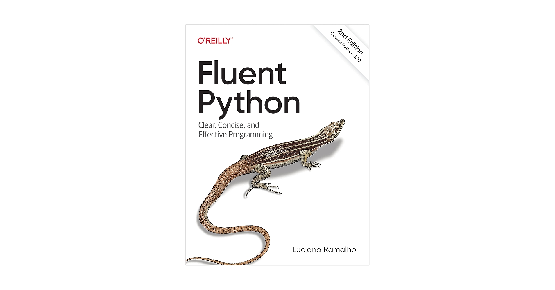 語学+参考書 Fluent Python 81OvszBEdhL.jpg_BO30,255,255,
