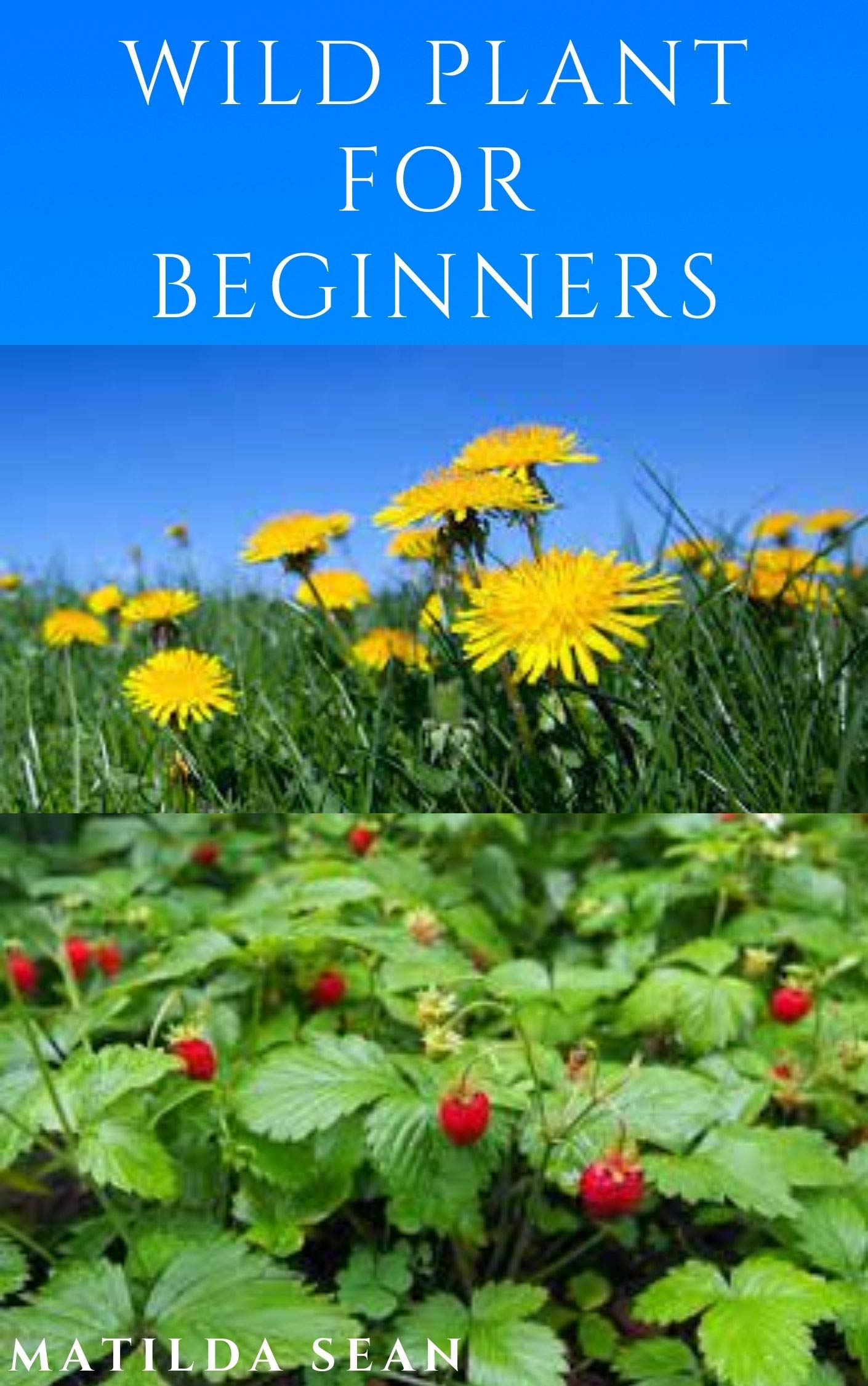WILD PLANT FOR BEGINNERS: A book guide on how to ethically plant, identify,harvest, prepare,eat and preserve wild plants