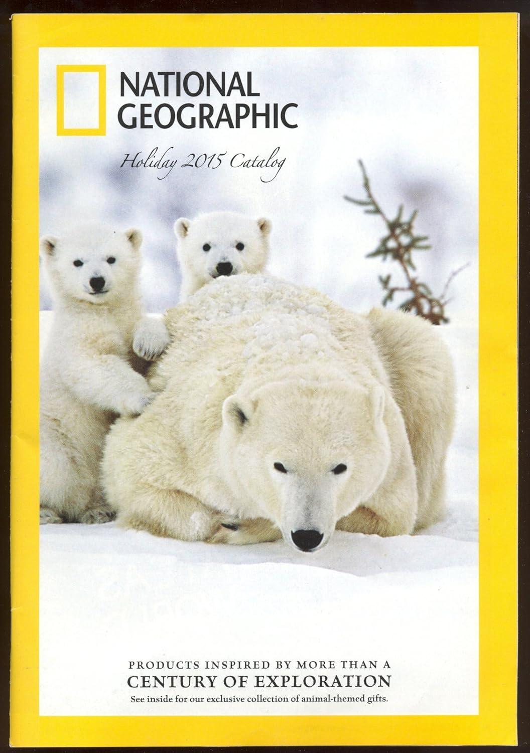 National Geographic Holiday 2015 Catalog Polar Bear Cover NGS