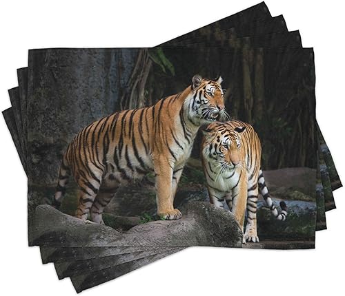 Miniatura 1 de Ambesonne - Juego de 4 individuales con diseño de pareja de tigres en la selva, rocas grandes y naturaleza, hechos de tela lavable para mesa de