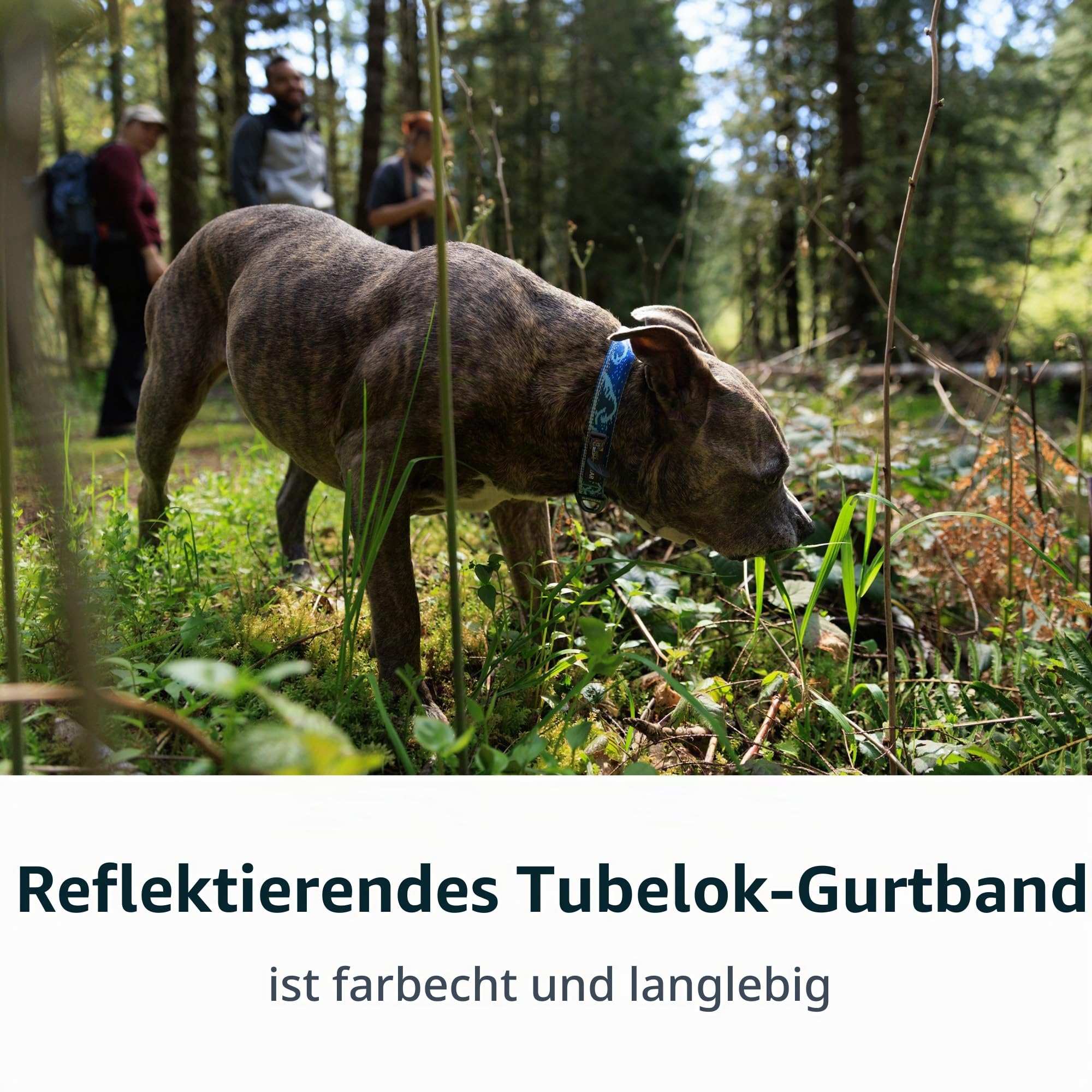 RUFFWEAR Crag Hundehalsband, mittelgroßes Hundehalsband mit Aluminium-V-Ring, verstellbare Länge, Haustier-Hundehalsband, bequem, weiches Halsband, Premium-Tierhalsband mit Befestigungsring für