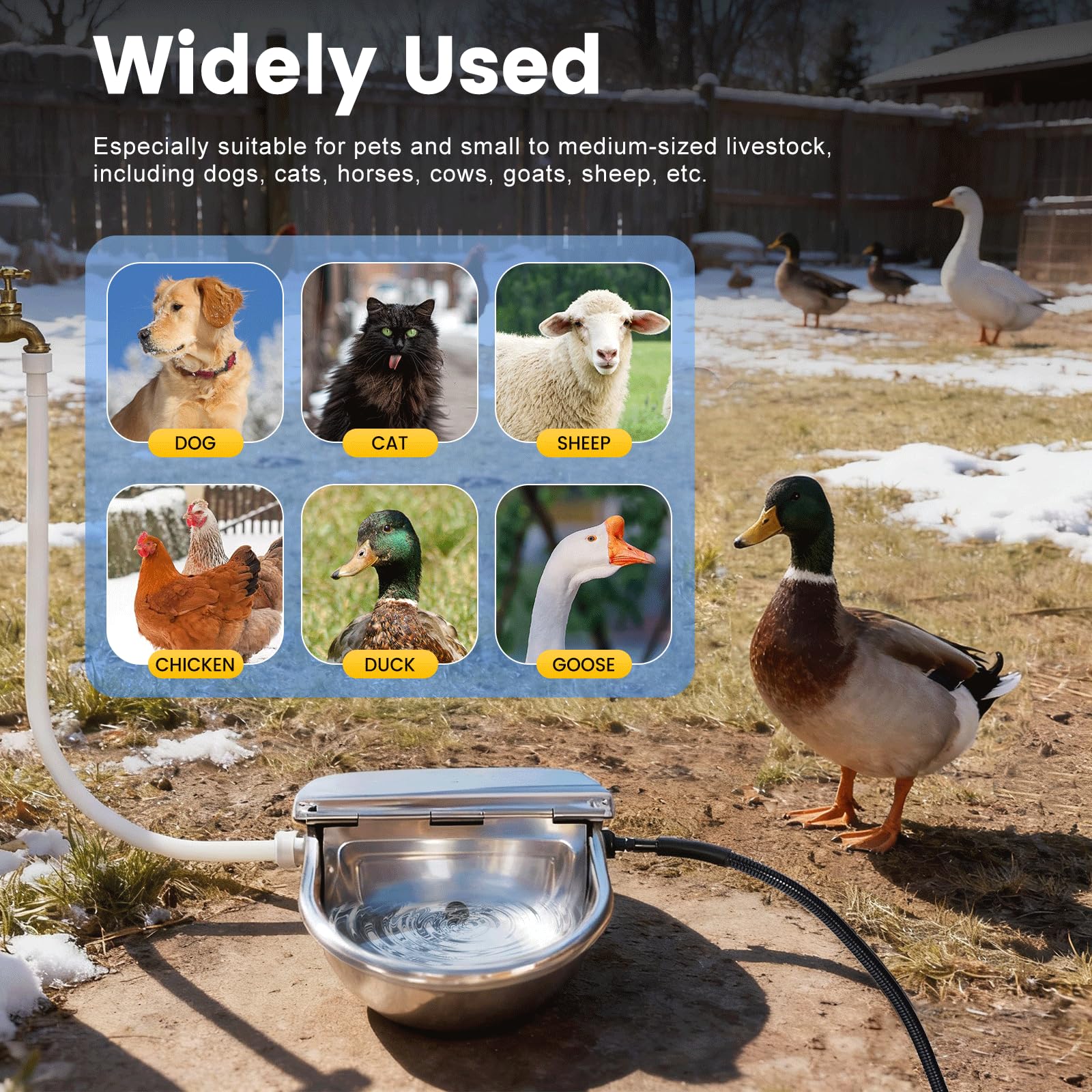 Cuenco de agua con calefacción para gatos al aire libre, cuenco térmico automático para perros con cable antimasticación y dispensador automático de agua para perros, gatos, caballos, vacas