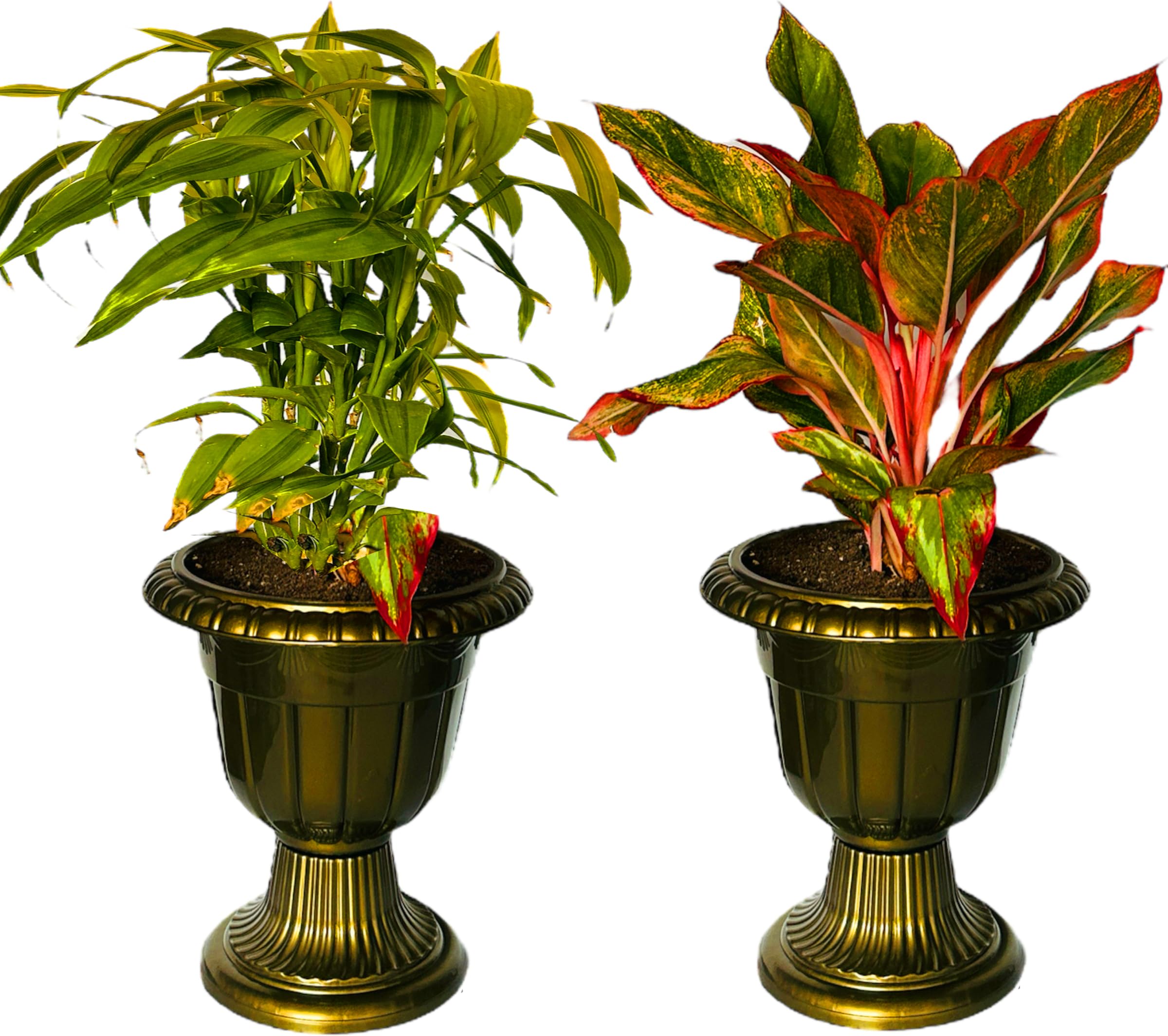 TechHark® Vintage Collection Pots for Home, Garden and Office Decoration Pots Plant Container Set (Pack of 2, Plastic) (Bronze) (B0CVTWJ69H) Amazon Price History, Amazon Price Tracker