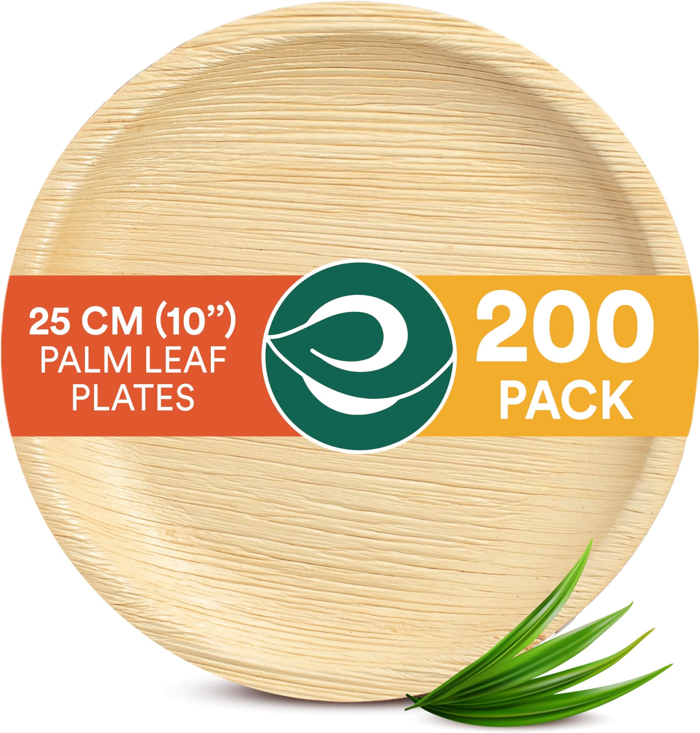 Amazon.com: Disposable Palm Leaf Plates - 100 Pack - 10 Inch Round ...