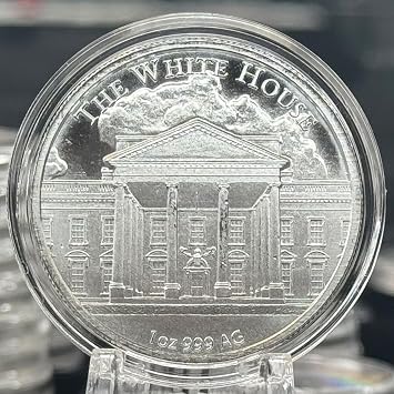 Generic 1 oz 2024 Trump Survives : Fight fight fight! Silver Round