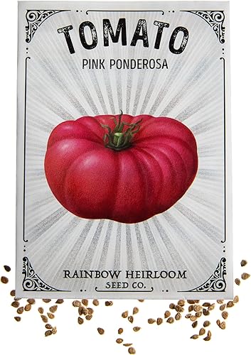 Semillas de tomate para plantar  Variedad Ponderosa rosa (paquete de 150 mg - aproximadamente 40 semillas)  Semillas sin OMG y reliquia  Paquete de