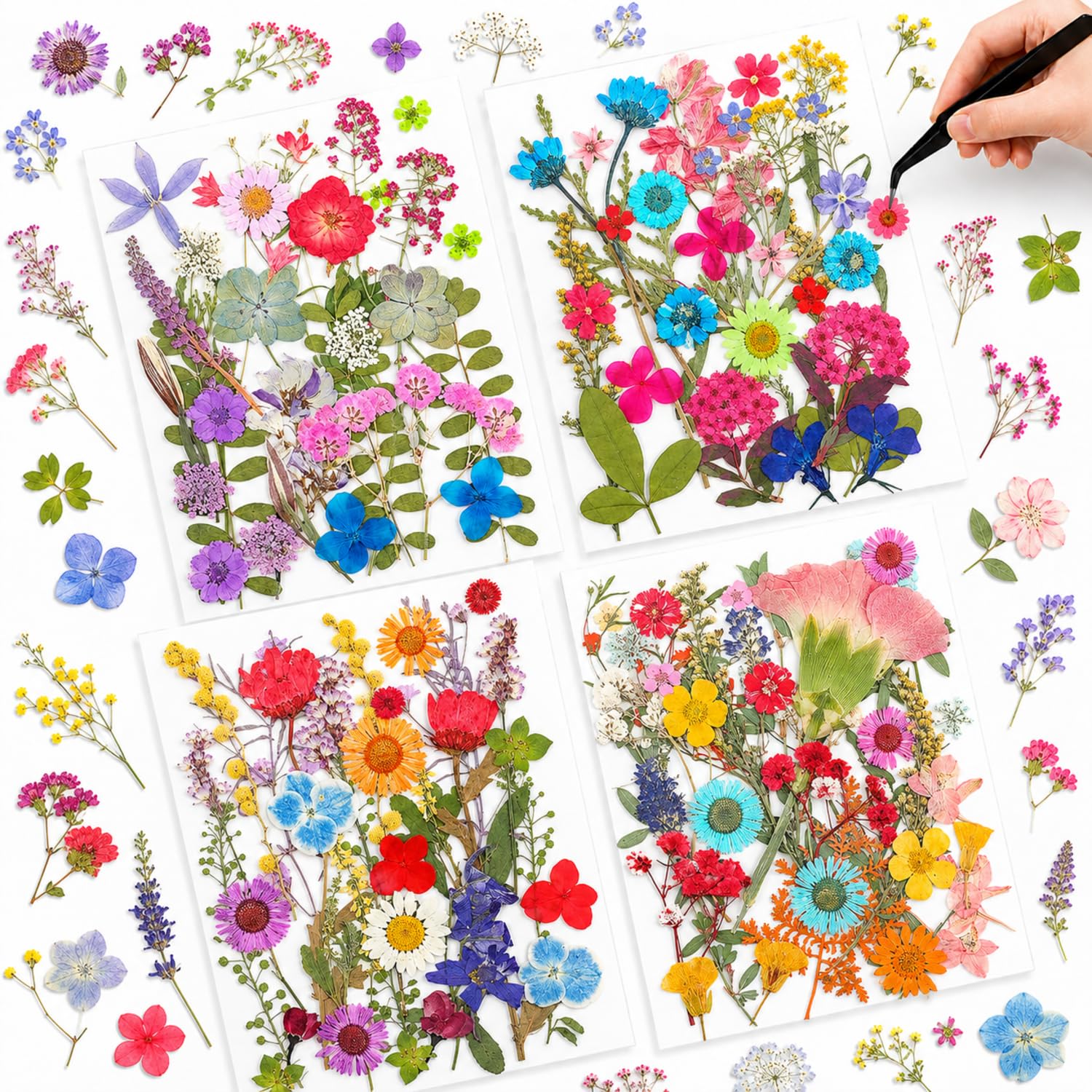 Nuanchu Vibrant Tiny Dried Pressed Flowers Wildflowers for Craft Resin Mold