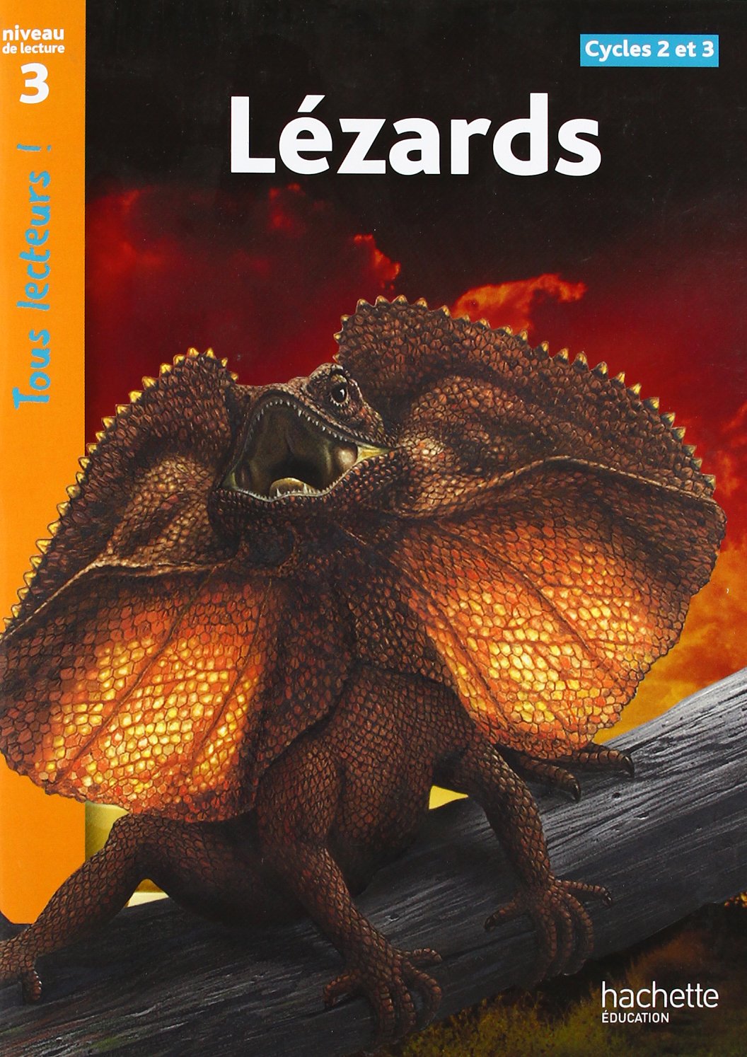 Tous lecteurs!: Lezards