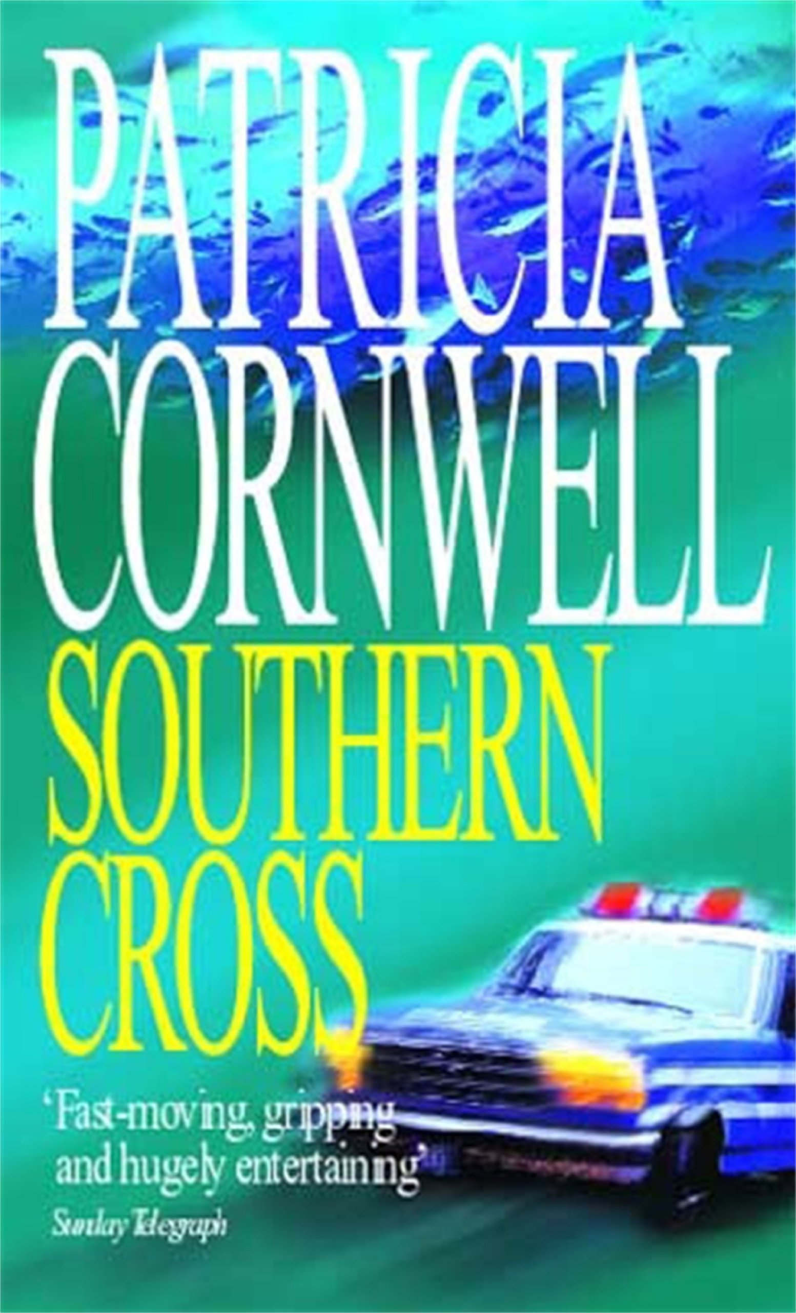 Southern Cross (Andy Brazil Book 2)