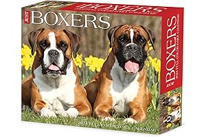 Boxers 2024 Calendar: The Perfect Gift for Boxer Dog Lovers