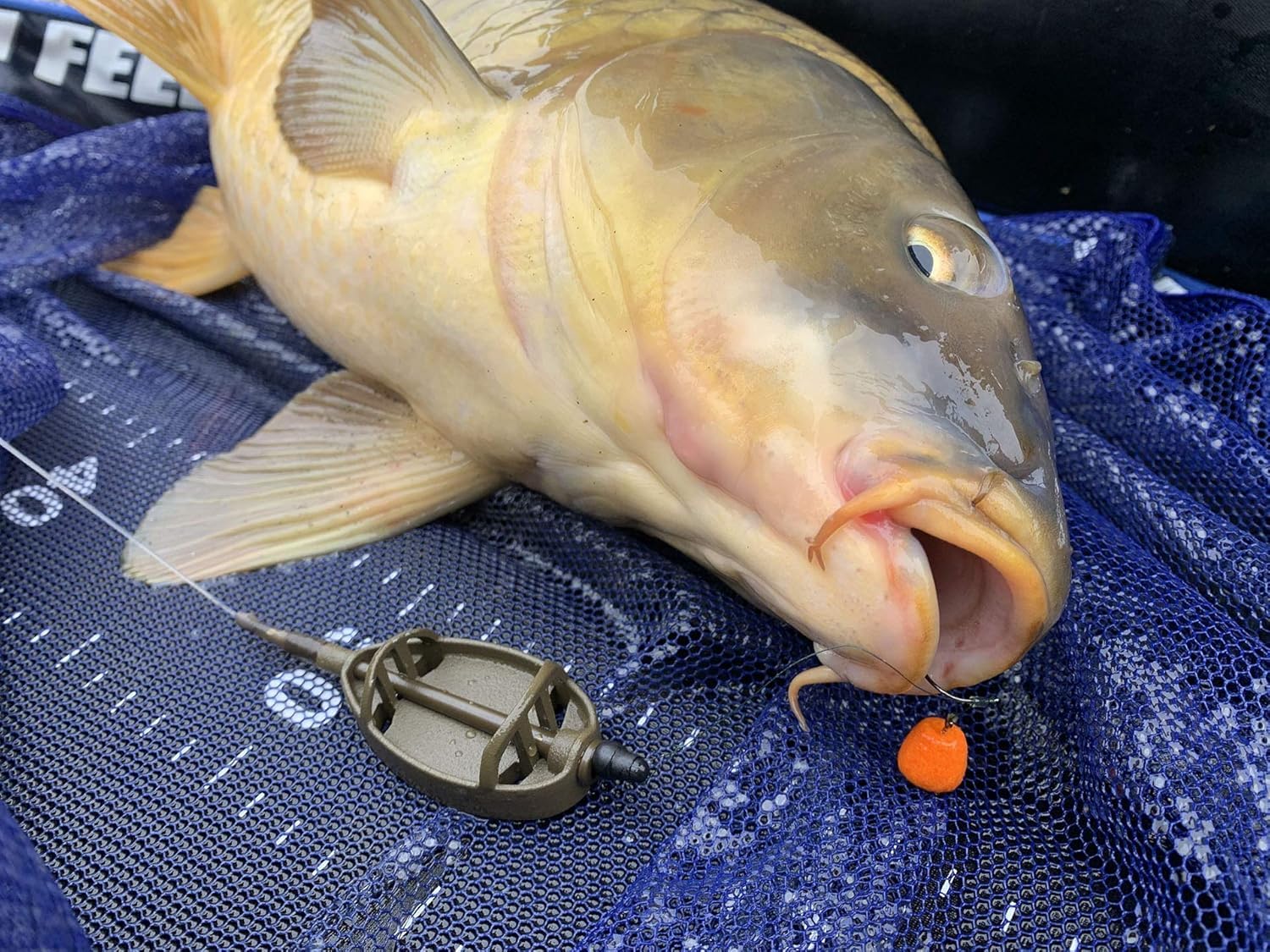 Haldorado Tornado Wafter Piña+N-Butyric 12mm, hookbait carpfishing, cebo flumino, cebo 100% bidegradable