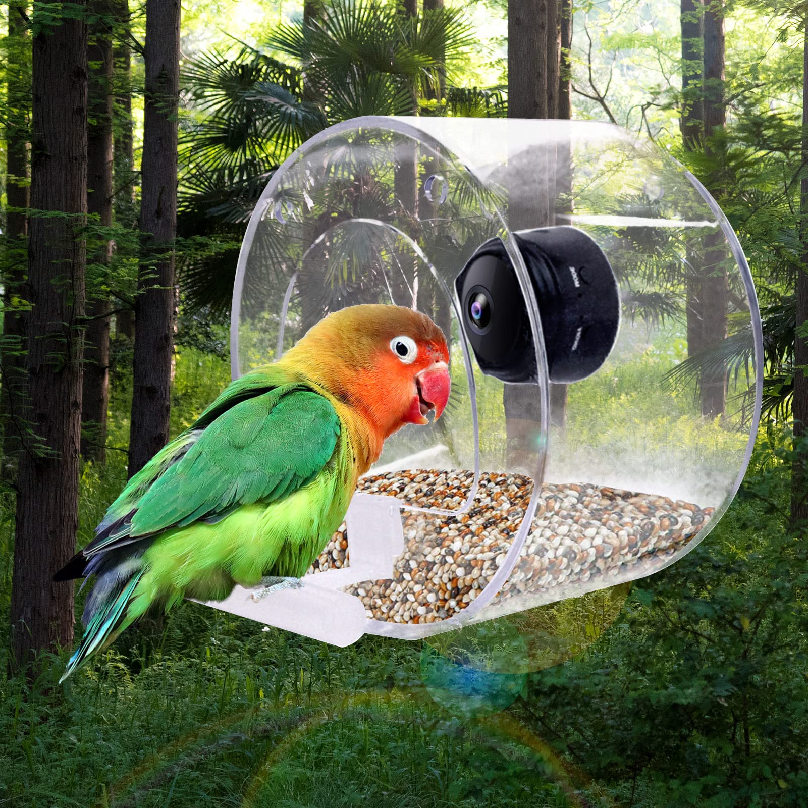 Mangiatoia per Uccelli con Fotocamera, Mangiatoia per Uccelli da Finestra con Forti Ventose, Mangiatoia per Uccelli con Telecamera WiFi Wireless 1080p, Videocamere Versione Notturna Cattura Foto di