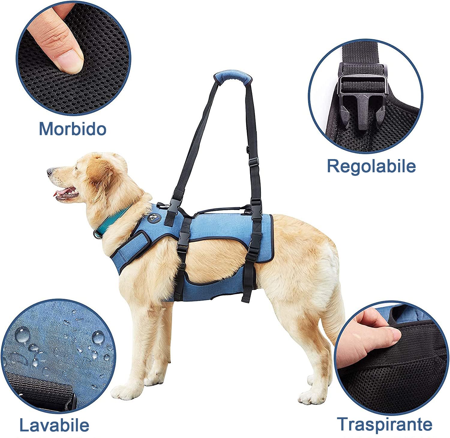 COODEO Imbracatura Sollevamento Cani, Supporto Integrale & Fascia Riabilitazione con Spalline Regolabili/Traspiranti per Cani Anziani, Disabili, con Artrite, Paralisi o Problemi Articolari (blu,M)